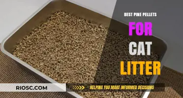 Top-Rated Pine Pellets for Cat Litter: Eco-Friendly and Odor-Control Solutions
