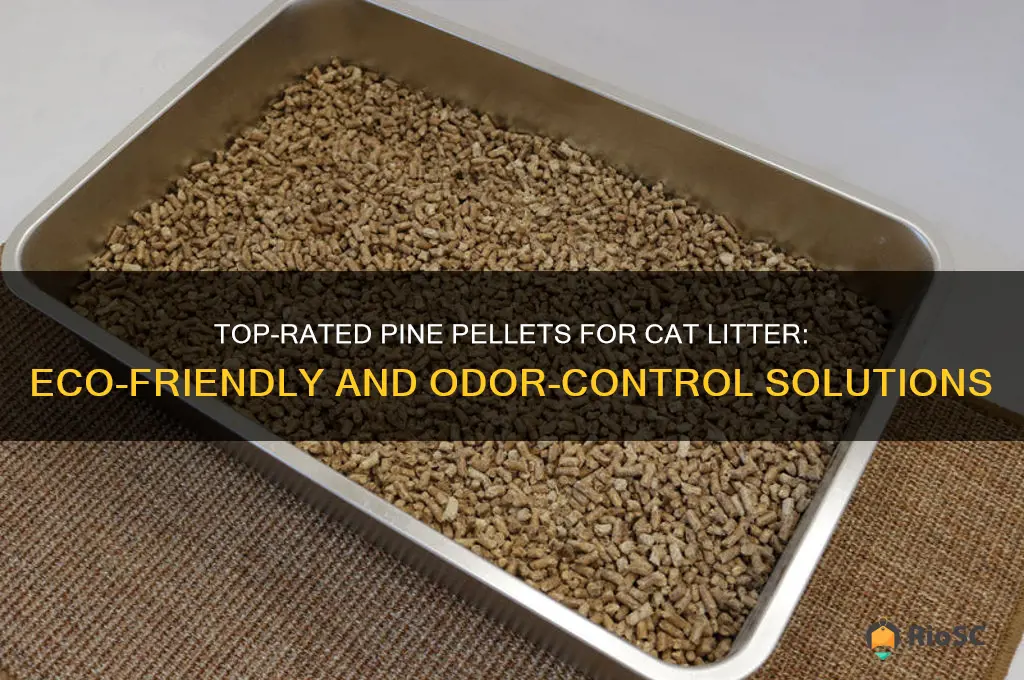 best pine pellets for cat litter