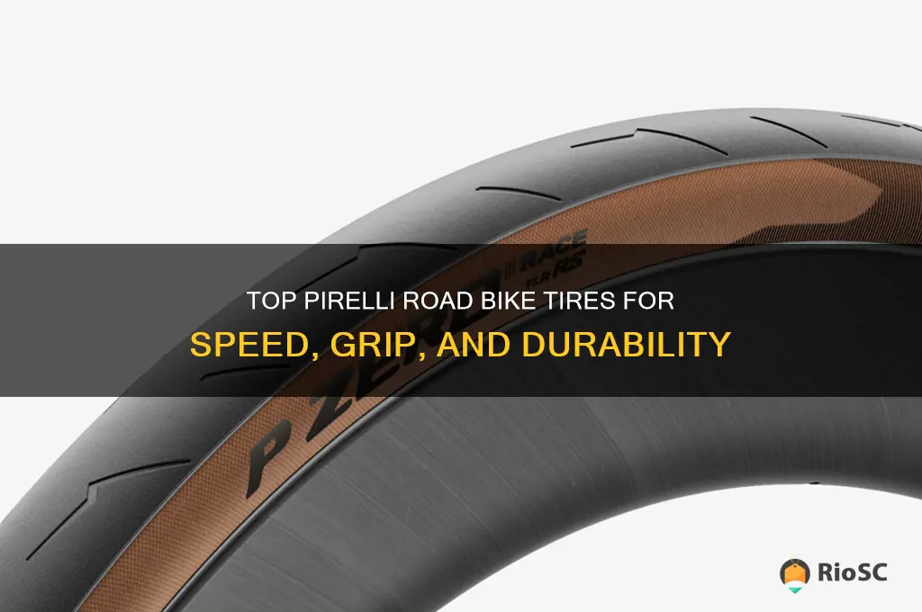 best pirelli road bike tires