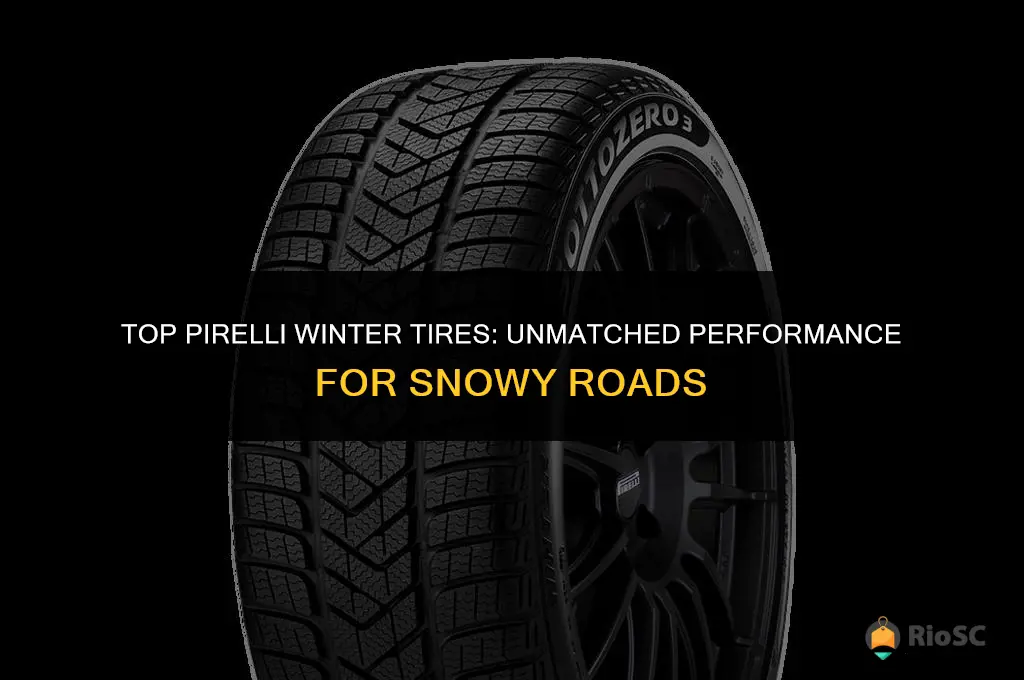 best pirelli winter tires