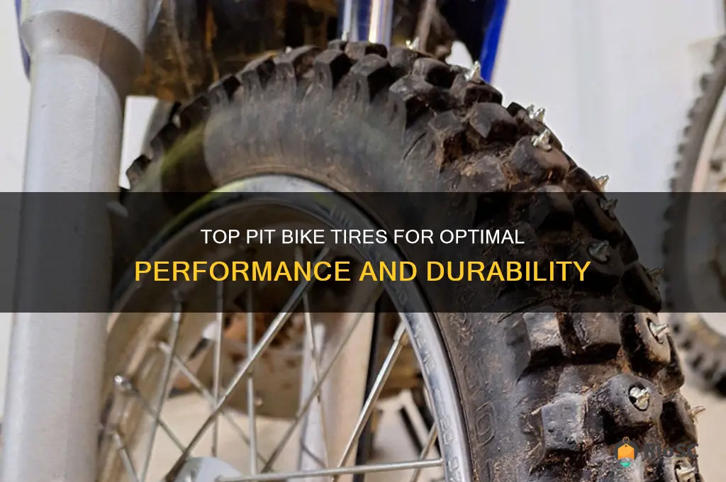best pit bike tires