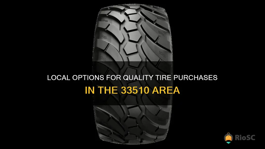 best place buy tires near 33510