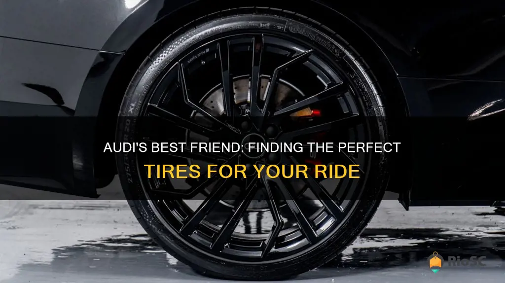 best place for audi tires