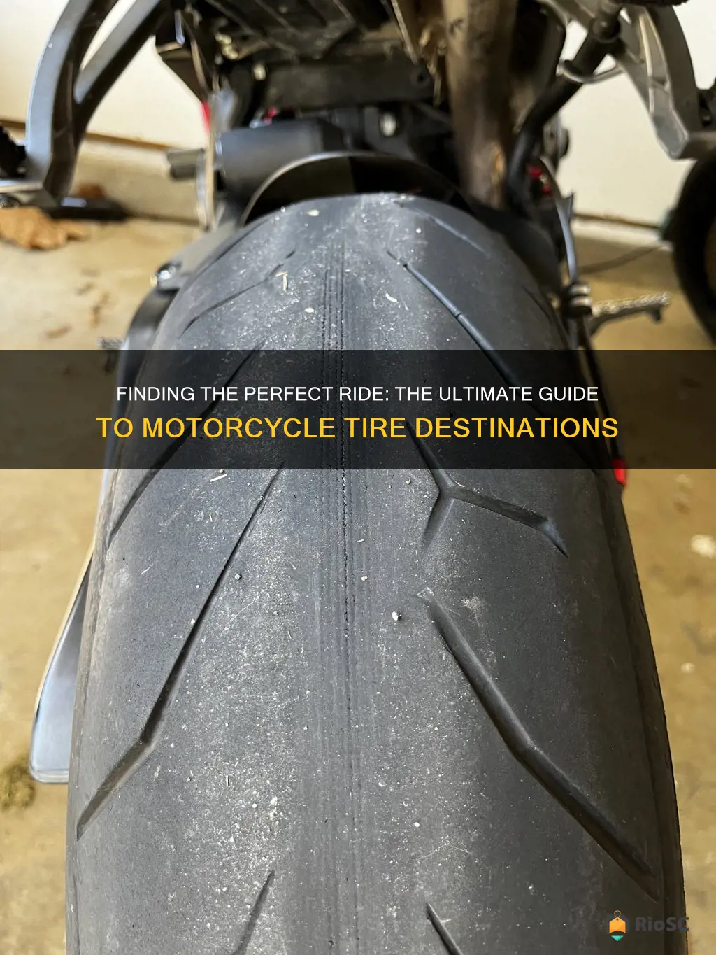 Tuscaloosas Top Tire Shop Finding The Perfect Ride Starts Herefeed