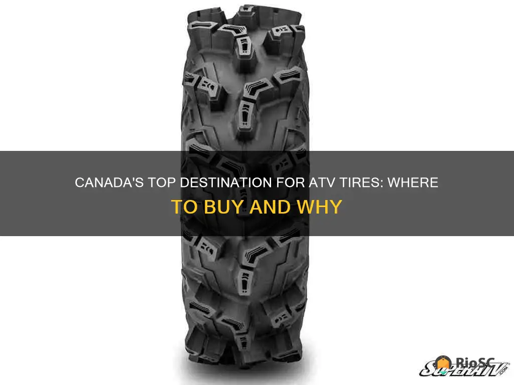 best place to buy atv tires in canada