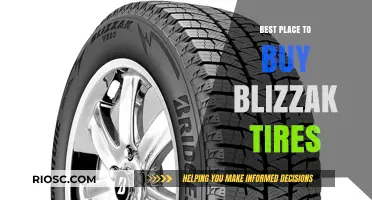 The Ultimate Guide to Buying Blizzak Tires: Top Sources and Tips