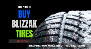 Blizzak Tire Buying Guide: Where to Get the Best Deals