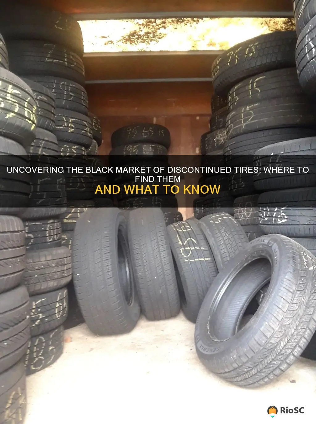 best place to buy discontinued tires