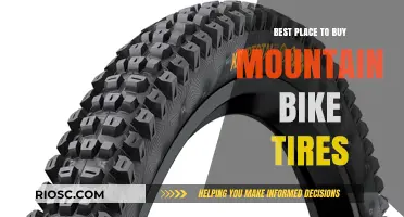 Top-Rated Mountain Bike Tire Stores: Your Ultimate Guide to Finding the Perfect Ride