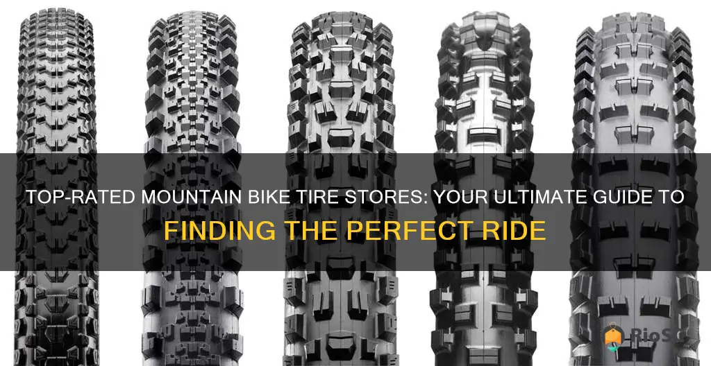 best place to buy mountain bike tires