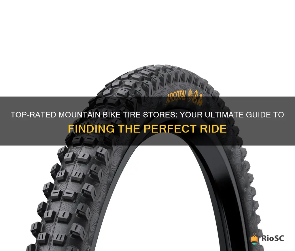 best place to buy mtb tires