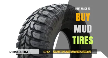 Top 5 Best Places to Buy Mud Tires: A Comprehensive Guide