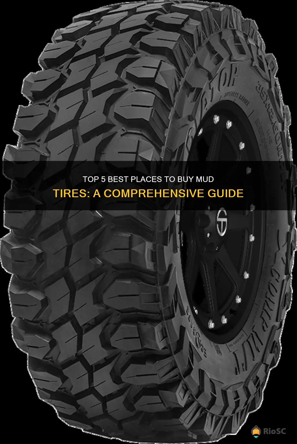 best place to buy mud tires