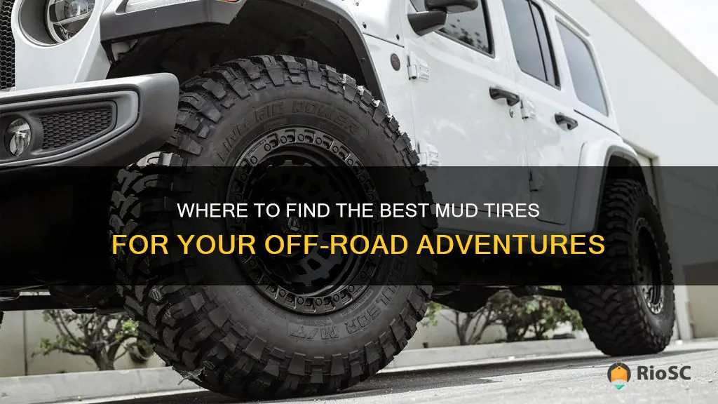 best place to buy mud tires