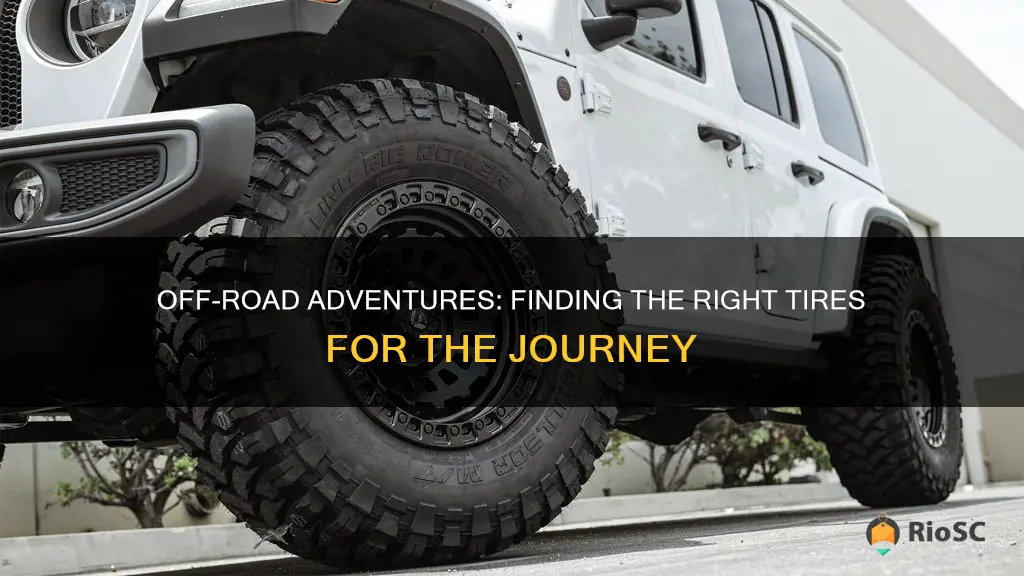 best place to buy off road tires