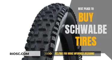 Schwalbe Tires: Where to Buy and Why