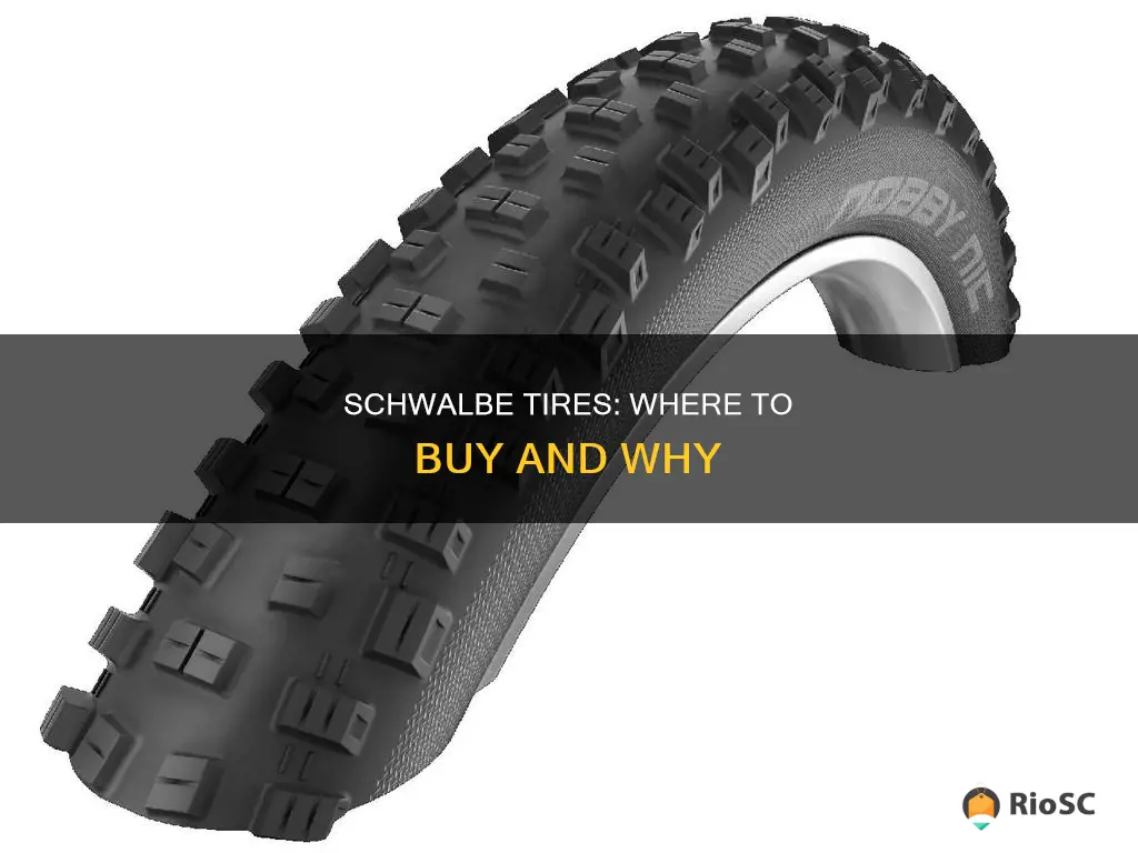 best place to buy schwalbe tires