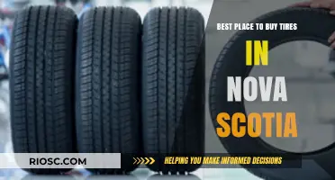 Top Tire Stores in Nova Scotia: Your Ultimate Guide to Finding the Best Deals