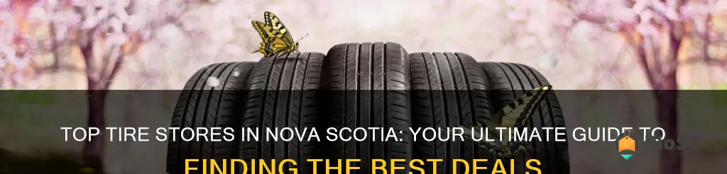 best place to buy tires in nova scotia