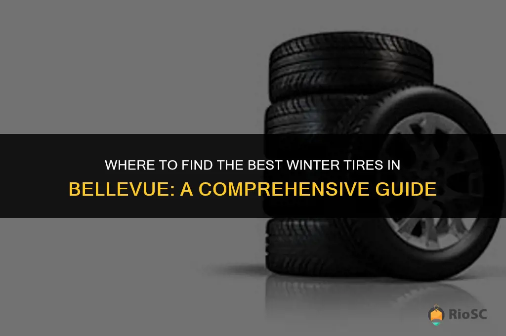 best place to buy winter tires bellevue
