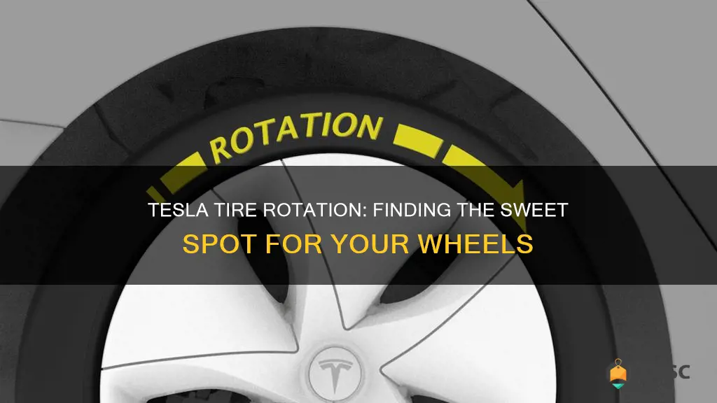 best place to get tesla tires rotated