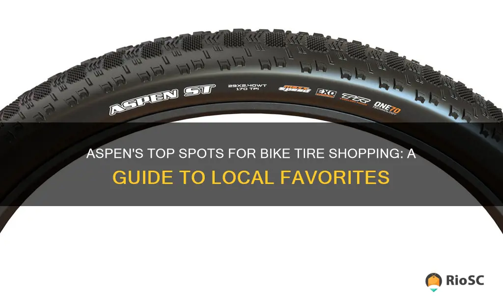 best places to get bike tires in aspen