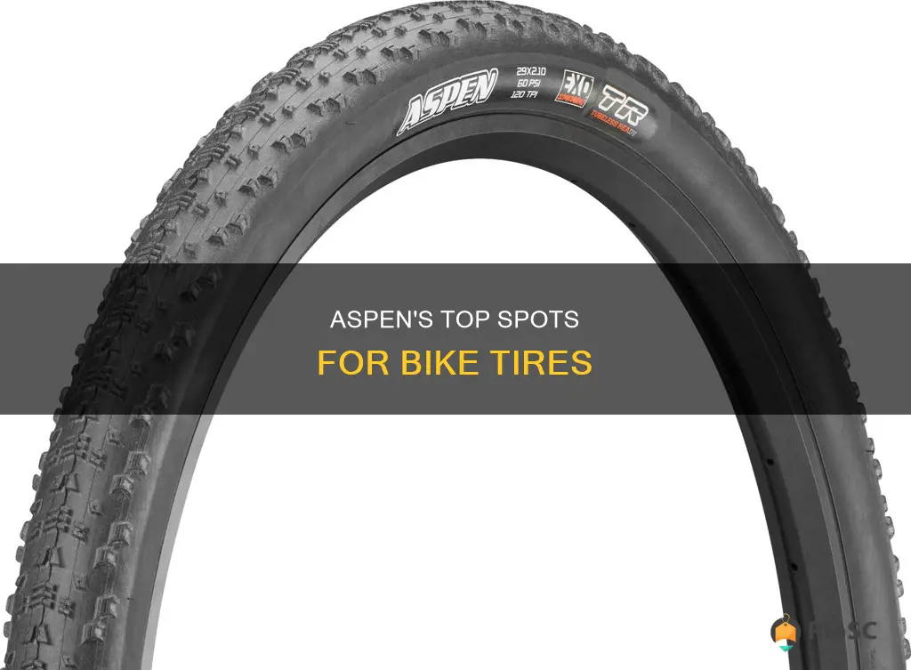 best places to get bike tires in aspen