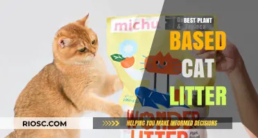 Eco-Friendly Feline Care: Discover the Best Plant-Based Cat Litter Options for a Cleaner, Greener Home