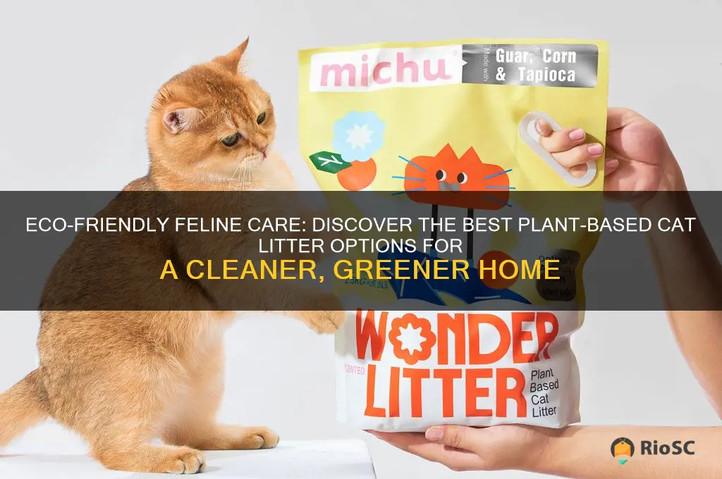 best plant based cat litter