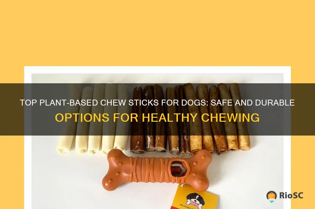 best plant stick for dog chewing