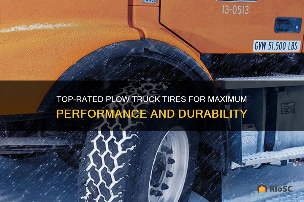 best plow truck tires