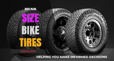 Top Plus Size Bike Tires for Enhanced Performance and Comfort