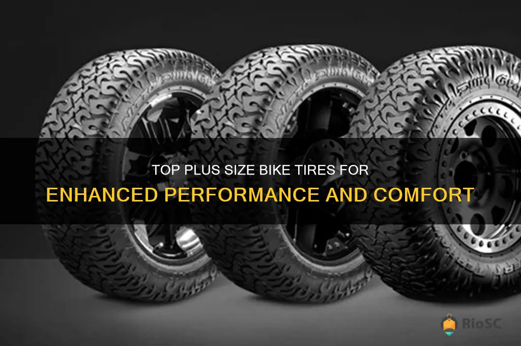 best plus size bike tires