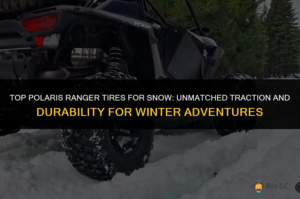 best polaris ranger tires for snow