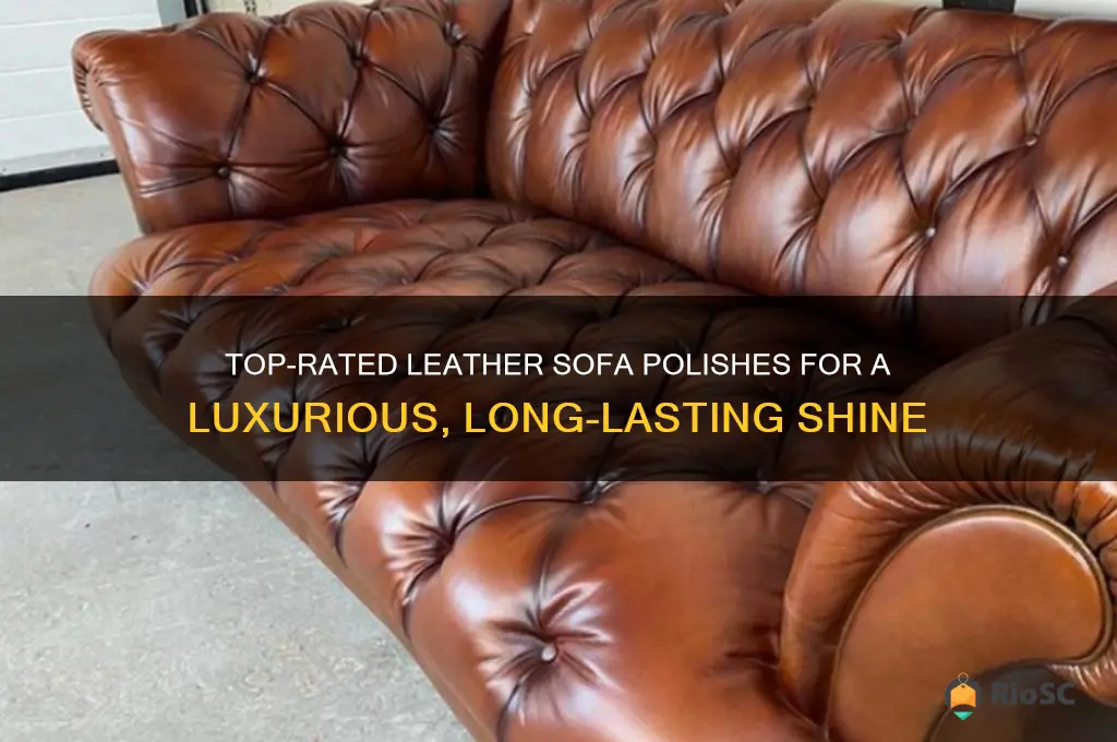 best polish for leather sofa