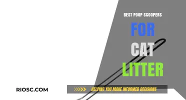 Top-Rated Poop Scoopers for Effortless Cat Litter Maintenance
