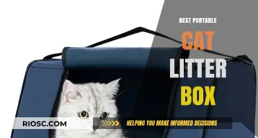 Top Picks for On-the-Go Pet Parents: The Best Portable Cat Litter Boxes for Travel and Convenience