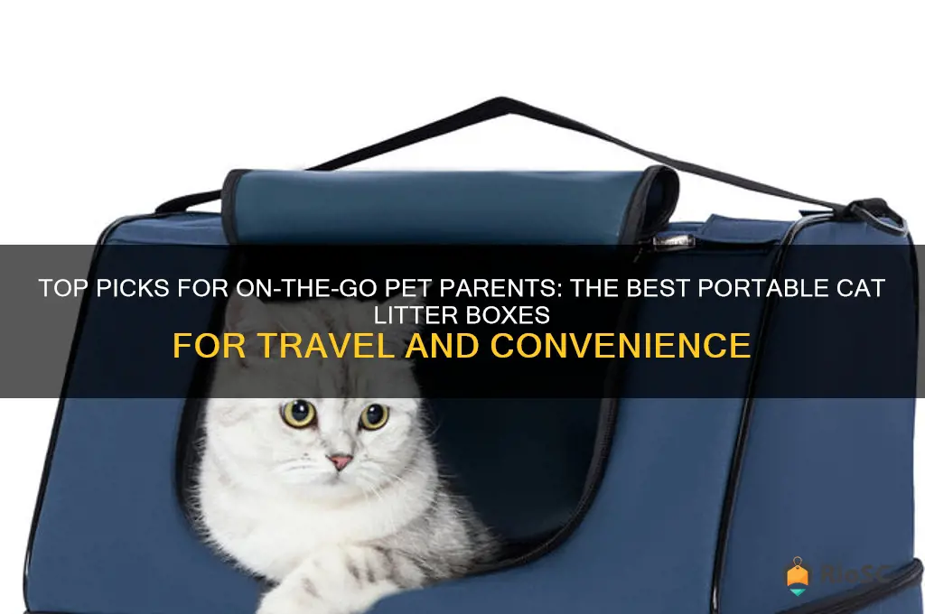 best portable cat litter box