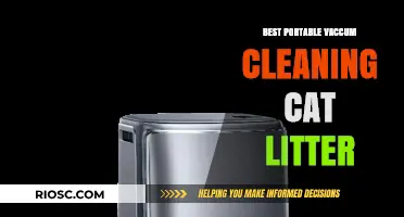 Top Portable Vacuum Cleaners for Effortless Cat Litter Maintenance