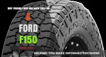 Top-Rated Mud and Snow Tires for Your Ford F-150: Conquer Any Terrain