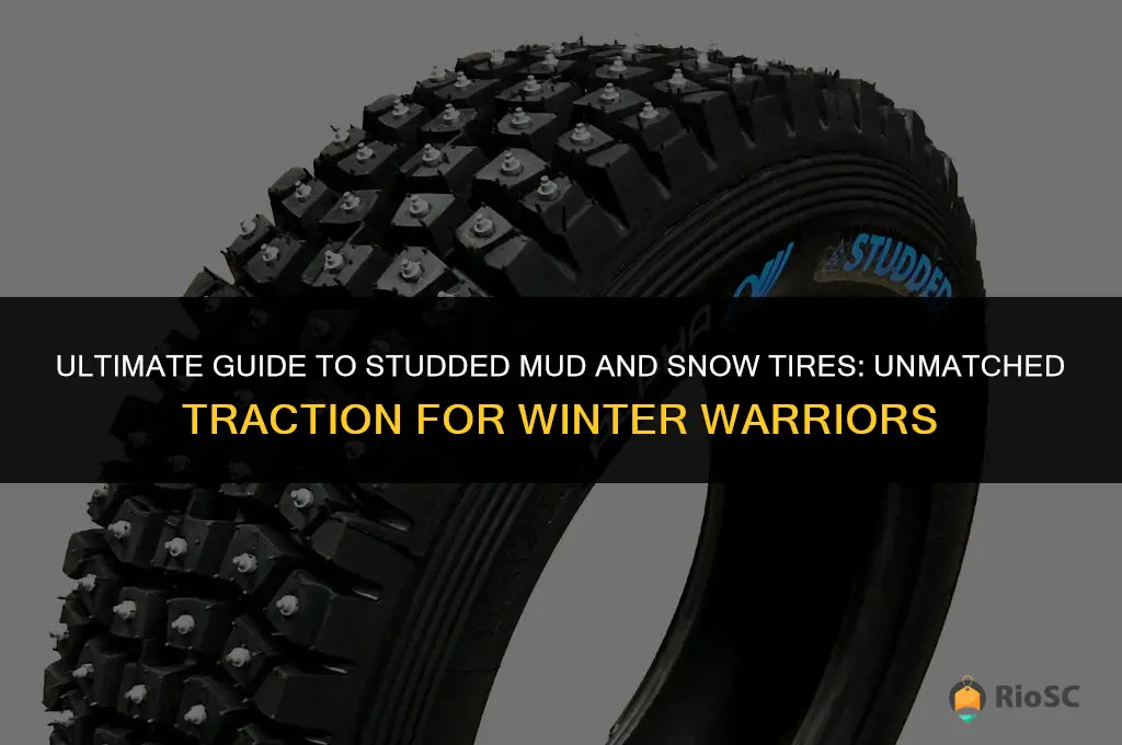 best possible mud and snow tires with studs