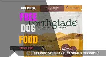 Top Poultry-Free Dog Food Options: Healthy and Delicious Alternatives for Your Canine Companion