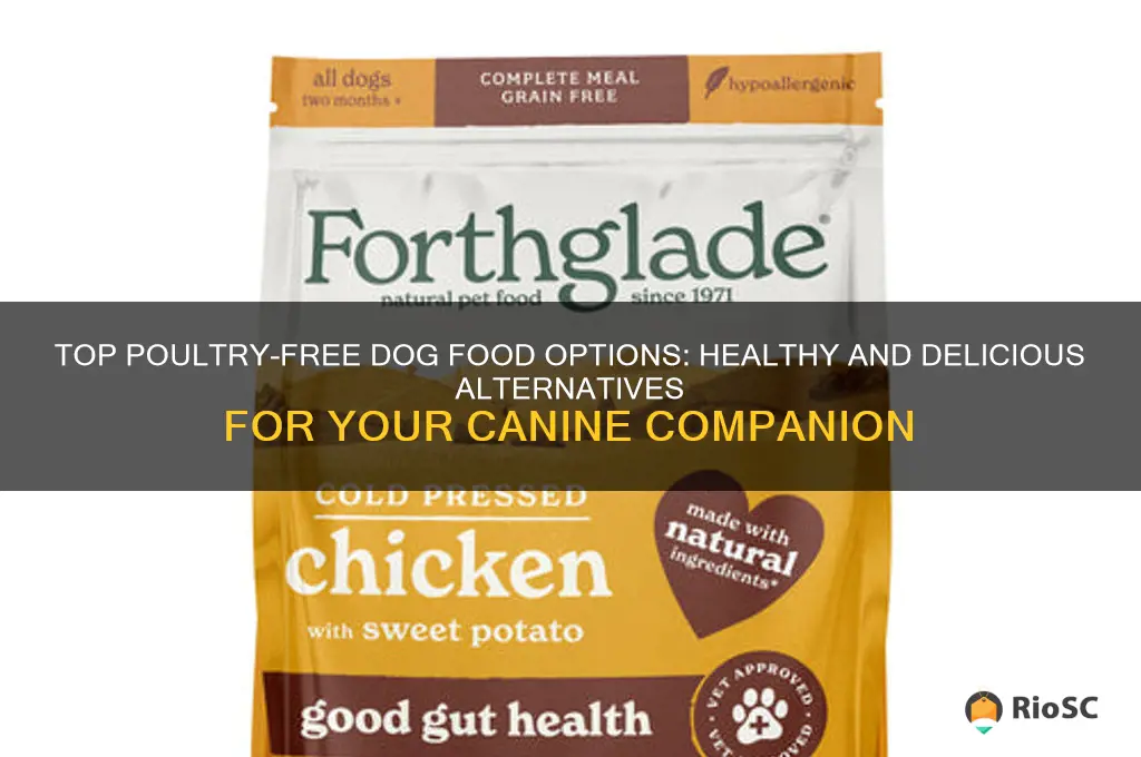 best poultry free dog food