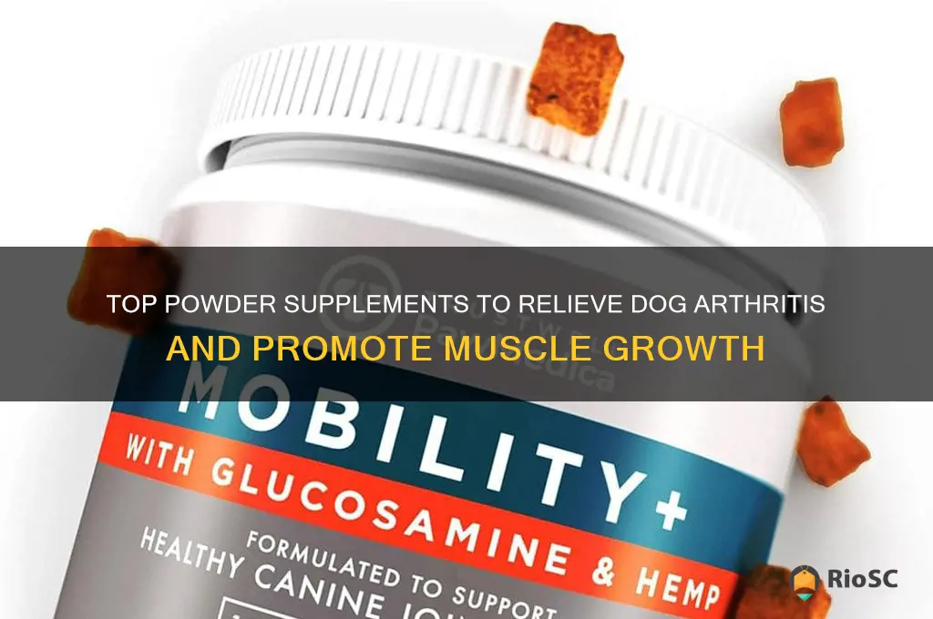 best powder supplement for dog arthritis build muscle