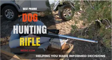 Top Prairie Dog Hunting Rifles: Precision and Power for the Ultimate Varmint Hunt