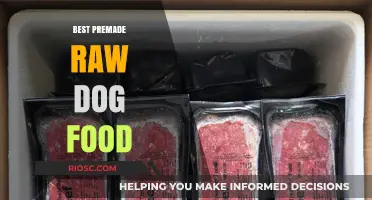 Top Picks for Premium Premade Raw Dog Food: Nourish Your Canine Companion with the Best Options
