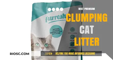 Top-Rated Premium Clumping Cat Litter: A Comprehensive Guide to the Best Options for Your Feline Friend