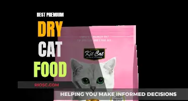 Top-Rated Premium Dry Cat Food: A Comprehensive Guide for Feline Nutrition