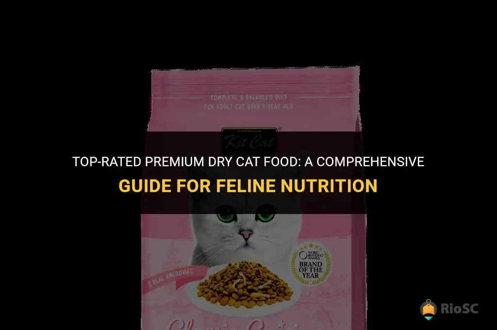 best premium dry cat food