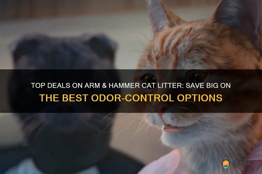 best price arm and hammer cat litter